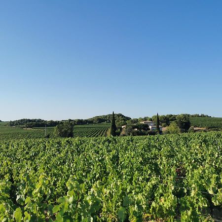 La Chambre Du Saunei Castelnau-de-Guers ภายนอก รูปภาพ