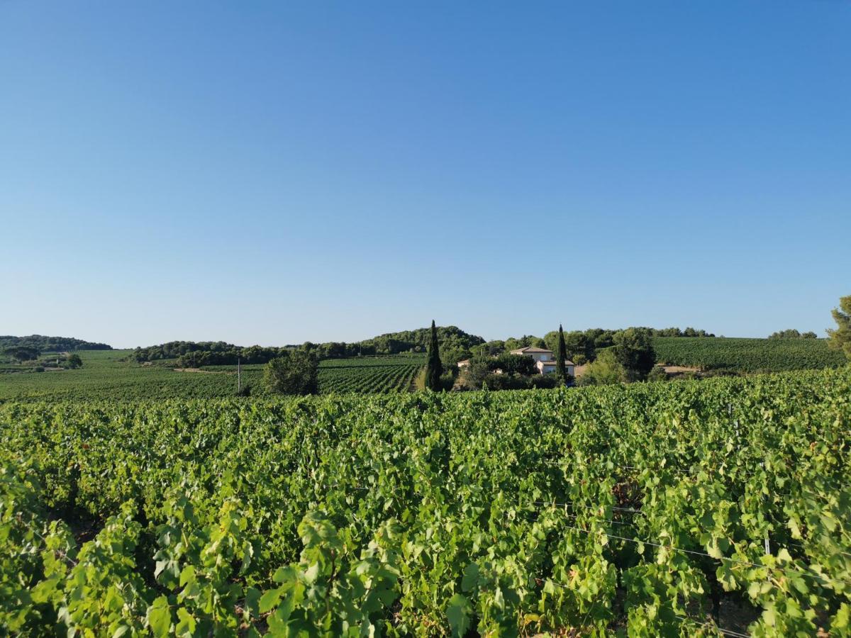 La Chambre Du Saunei Castelnau-de-Guers ภายนอก รูปภาพ
